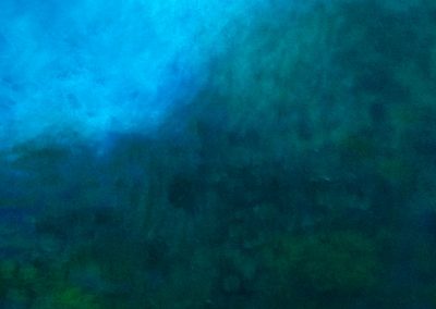 Araucarias 2 | 2014 | Oleo sobre tela | 50x100cm